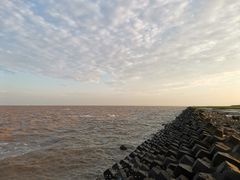 -南汇嘴观海公园