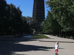 -玲珑塔公园