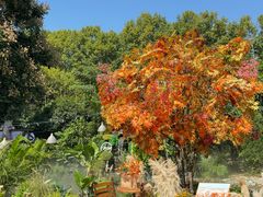 -HERRE·FARM 赫尔露营农场·团建聚会包场