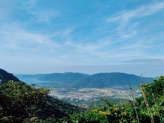 -三亚亚龙湾人间天堂鸟巢度假村