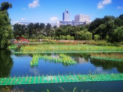 -长春市南湖公园