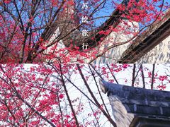 -金鸡山公园