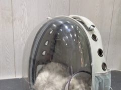 -宠颐生动物医院·小陆分院