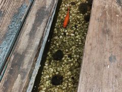 -邈墨茶馆(凤起路店)