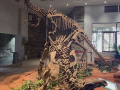 -自贡恐龙博物馆