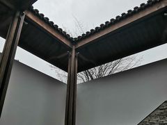 -几荷·恰似故人来(秀水广场店)