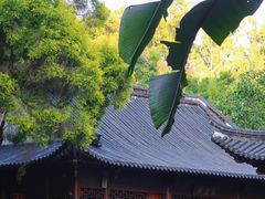 -深圳国际园林花卉博览园