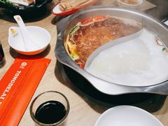 鸳鸯锅底-彤德莱火锅(大学城店)