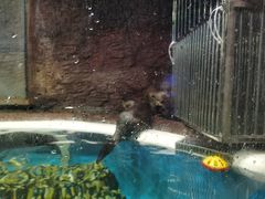 -成都浩海立方海洋公园