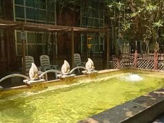 -春晖园度假酒店温泉