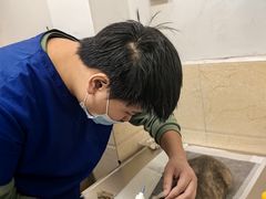 -仁华宠物医院(青羊店)