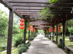 -白马涧龙池景区