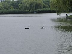 -东华大学(松江校区)