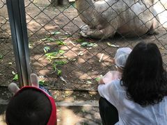 -长白岛森林公园