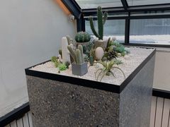 -大树餐厅(红旗街万达店)