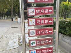 -保定市动物园