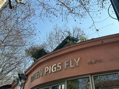 -WHEN PIGS FLY当猪飞