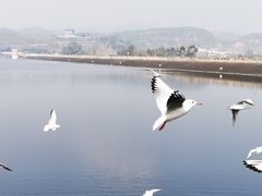 -三岔湖景区