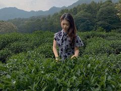 -法云安缦酒店