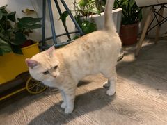 -小时光咖啡馆(北锣鼓巷店)