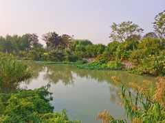 -澹台湖公园