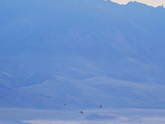 -赛里木湖风景名胜区