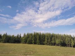 -御道口草原森林风景区