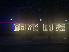 -枫花园汽车电影院(朝阳公园店)
