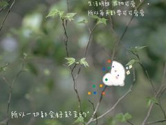 -杭州黄龙洞