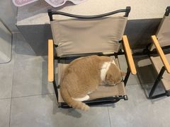 -伟伟宠物医院·CT影像中心·瑞派犬猫综合性门诊(汉口总院)