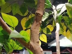 -蒸武门·广式茶点(江南店)