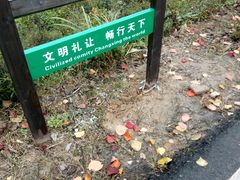 -塔川景区