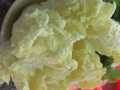 -吉品莞家·鲍鱼鸡煲(东莞店)