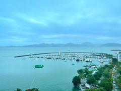 -蛇口希尔顿南海酒店·随轩中餐厅·粤菜