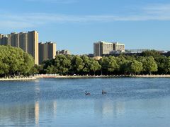 -长春世界雕塑园冰雪艺术天地