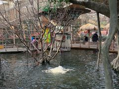 -南宫五洲植物乐园