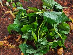 -彭大姐老店黄辣丁(新津店)