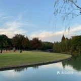 林荫新路1288号佘山茂御臻品酒店内(欢乐谷)
