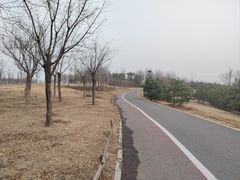 -马家湾湿地公园