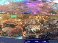 -王庄阿咪海鲜大排档(象园店)