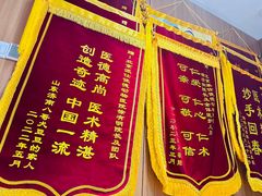 -北京派仕佳德动物医院·超导核磁·CT·神经科·骨科·内外科·急重症管理中心