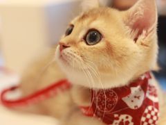 -% Arabica阿拉比卡咖啡烘焙工坊