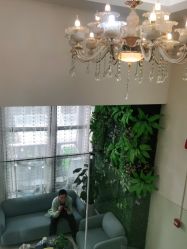 -苗医生草本科技祛痘