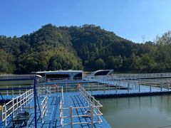 -龙川湾千岛湖国际垂钓中心