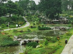 -东莞植物园