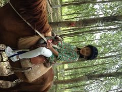 静安马场-沈阳静安马场