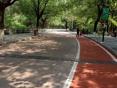 -水濂山森林公园