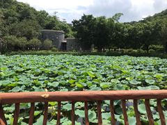 -李小龙乐园(顺德均安店)