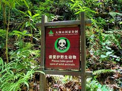 -云南屏边大围山国家公园