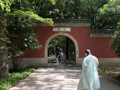-灵谷景区